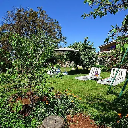 Apartment Oriana 792 Apartamento